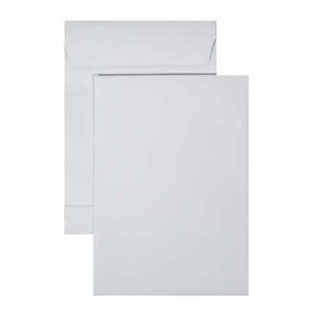 Brevpse Securitex B4exp 100fp