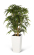 Konstvxt bambubuske 135cm