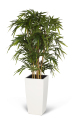 Konstvxt bambubuske 135cm