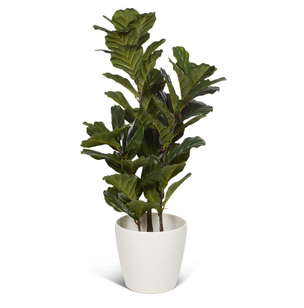 Konstvxt ficus lyrata 100cm