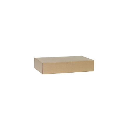 Arkivkartong Posten Folio 55mm