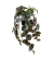 Konstvxt Peperomia 450