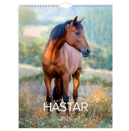 Stora Hstkalendern 2026 vgg