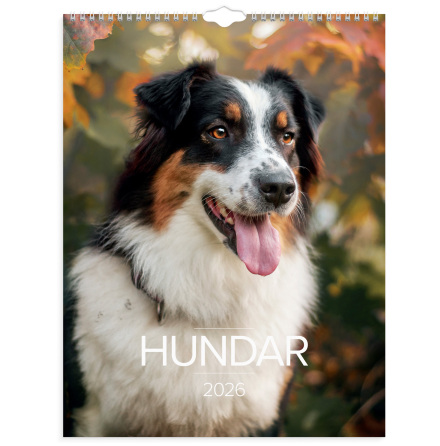 Stora Hundkalendern 2026 vgg