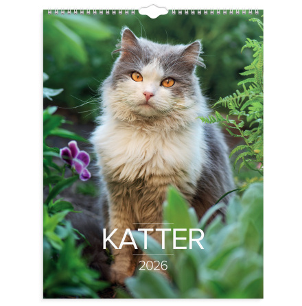 Stora Kattkalendern 2026 vgg