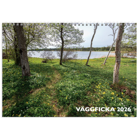 Vggkalender 2026 Vggficka