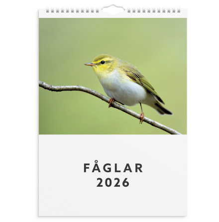 Vggkalender 2026 Fglar