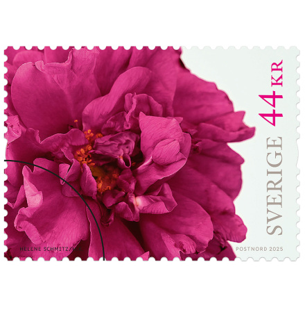 Frimrke Utrikes Rosor 2025